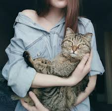 короткими волосами фото девушек с каре со спины на аву Idei Dlya Foto V Domashnih Usloviyah Stilno I Krasivo Human Photography Girly Pictures Animal Photoshoot