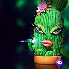 Here you can explore hq cactus transparent illustrations, icons and clipart with filter setting like size, type, color etc. There S A Sexy Fashion Cactus On The Masked Singer Australia Crazyexgirlfriend