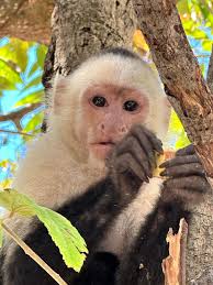 Jeff Coffman (@jeff_d_coffman) • Instagram photos and videos