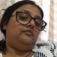 Interesting Facts About Pine Trees