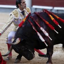 Amar la trama