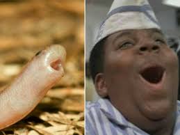 Good Burger Meme Face 35 Images Welcome To Burger By Zombieblacke Burger Archives The Burger Duo Are Splitting Up Because Of Color Tone