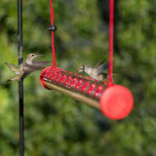 Check spelling or type a new query. Best Hummingbird Feeder For 2021 Hgtv
