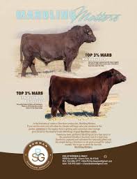 2023 July Shorthorn Country by SCI