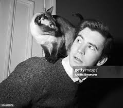 3,857 Kitty Actor Stock Photos, High-Res Pictures, and Images