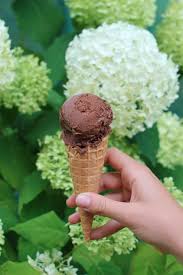 La Glace Au Chocolat Recette Glace Au Chocolat Glace Chocolat Creme Glacee Au Chocolat