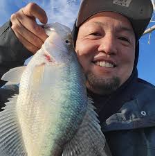 What is the best crappie jig color for night time fishing with only  moonlight