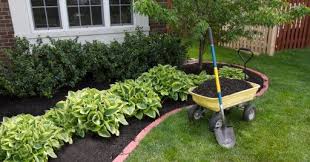 Seans lawn care services in joliet, il. Top Landscaping Companies In Abu Dhabi Gardening Services In Abu Dhabi Storat