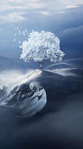 Wallpaper phone naruto full hd wallpaper wallpaper4k. Hd Wallpaper Handy Sky Cloud Natural Landscape Tree Landscape Plant Photography Winter Snow World 1590918 Wallpaperkiss