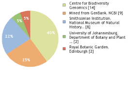 Image result for Leptactina involucrata