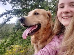 Golden retriever post-surgery care advice needed