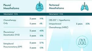 An estimated 135,720 people will die from lung cancer in the u.s. Mesothelioma Survival Rates Survival By Type Other Factors