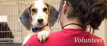 Animal complaints and cruelty news. Volunteer The Humane Society Of Harford County