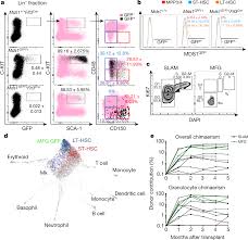 State the functions of the fun fact: Live Animal Imaging Of Native Haematopoietic Stem And Progenitor Cells Nature
