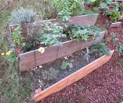 Mehrere Ebenen Im Garten Erzeugen Spannung Garten Abschussiger Garten Garten Pflanzen