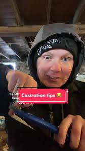 Replying to @sodapopminifarm some actual tips