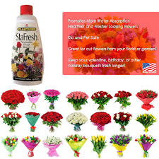 Besides being super easy to grow, they thrive in both sunny and shaded gardens, and have feathery flowers that offers months of graceful color. Buy Stafresh Cut Flower Food For Long Lasting Blooms Plant Preservative Mix Extends Life For All Cut Roses Garden Flowers And Bouquets Pet Safe Online In Vietnam B095kz926z