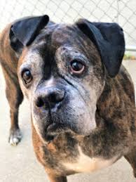 Spring 2021 Tributes Part 2