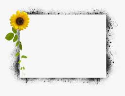 Transparent Sunflower Frame Png Transparent Sunflower Border Png Png Download Kindpng