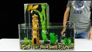 How To Build Unique Multi Level Aquarium V2 0 Youtube Amazing Aquariums Unique Fish Tanks Fish Tower