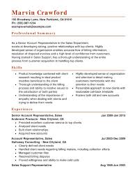 Thinking about creating a combination resume that works? Sales Combination Resume Samples Examples Format Templates Resume Help