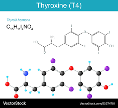 Image result for Thyroxine