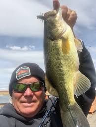 Some bass from today at Indian steele #bassfishing