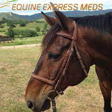 Horses are often overlooked when it comes to pet insurance. Equine Express Meds Home Facebook