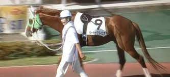 The site owner hides the web page description. æ€ã‚ãšã‚¯ã‚¹ã£ã¨ç¬'ã£ã¡ã‚ƒã†é¢ç™½ã„ç«¶èµ°é¦¬ã®åå‰8é¸ã‚'ç´¹ä»‹ æ—¥æœ¬ç«¶é¦¬ æ­´ä»£ç«¶èµ°é¦¬ãƒ©ãƒ³ã‚­ãƒ³ã‚°2020å¹´æœ€æ–°ç‰ˆ