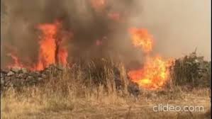 We did not find results for: Anche Oggi Allerta Incendi In Sardegna Cagliari Vistanet