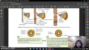 .tingkatan 3 buku teks kbdkbt tingkatan 5 buku teks dlp tahun 3 buku teks dlp tingkatan 3 katalog buku teks ini juga diharap dapat menjadi rujukan kepada ibu bapa dan penjaga, pihak awam 1. Biologi F5 Bab 1 2 Part 1 Youtube