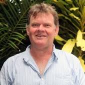 Catch the buzz: how a tropical holiday led us to find the world's biggest  bee