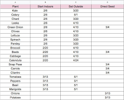 How To Create A Planting Schedule For A Vegetable Garden
