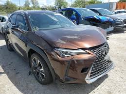 Image result for Autumn Shimmer 2019 UX