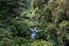 Forest adventure en cotentin, rouvre ses portes au public pour la saison 2019 le 09 février 2019, dès 14h. Ziplining Forest Adventure The Original Canopy Tour Rotorua 2021