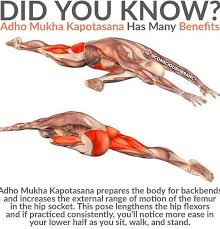 Yoga Panosundaki Pin