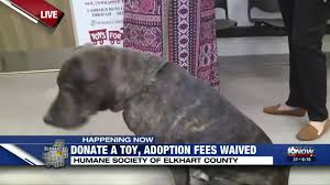 Maybe you would like to learn more about one of these? Humane Society Of Elkhart County Offering Free Adoptions With Toy Donation