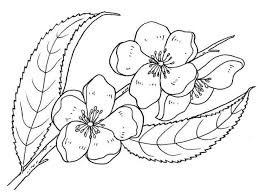 Flores para dibujar a lapiz. Rosas Flores Para Dibujar A Lapiz Nail Art