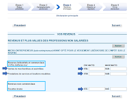 Développement et vie de l'entreprise. La Declaration D Impots 2020 Du Micro Entrepreneur Upsme