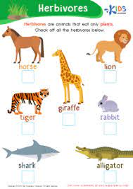 Matter activity worksheets for preschools. Kindergarten Science Worksheets And Free Printables