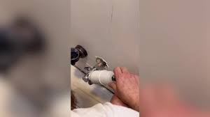 Image result for vodouch st%u0159 b%u0159it 