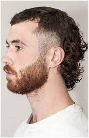 Mullet Hairstyles In 2021 Mullet Haircut Mullet Hairstyle Curly Hair Men