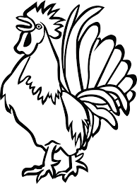 Check spelling or type a new query. Bird Drawing Png Drawing Turkey Cool Picture Clip Art Black And White Rooster 5340102 Vippng
