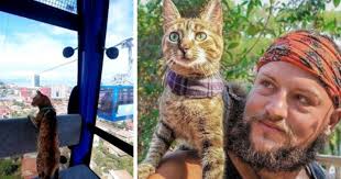Awwinspiring Cat Travels The World With Its Owner