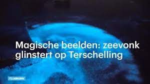 Filter the results based on the photo properties. Magische Beelden Zeevonk Glinstert Op Terschelling Rtl Nieuws Youtube