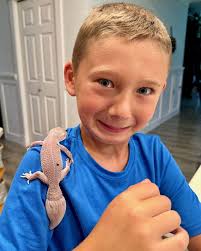 11-year-old hit by car in Roy still in coma, driver picked up by ICE