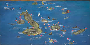 Due to the isolations of the galapagos islands, getting there is slightly complicated. Galapagos Islands Maps History Facts Best Islands To Visit And More