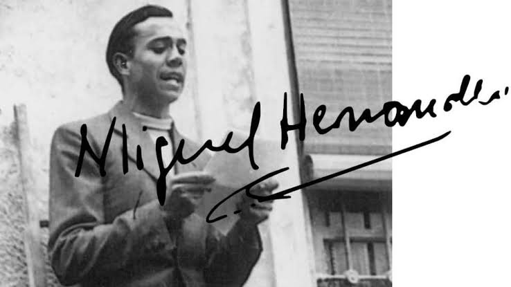 Resultado de imagen de miguel hernandez"