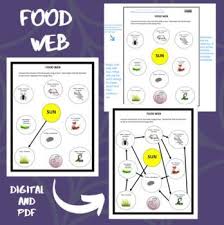 Food Web No Prep Worksheet Digital Activity Pdf In 2020 Digital Activities Food Web Science Resources