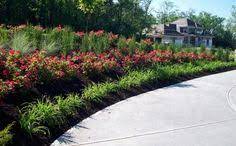 Check spelling or type a new query. 28 Best Landscaping Along A Driveway Ideas Driveway Landscaping Driveway Landscape Design